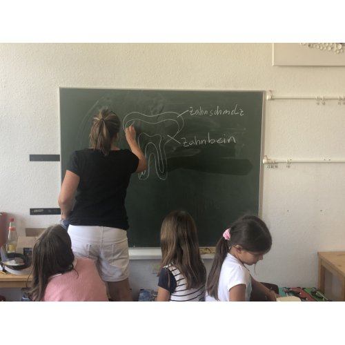 Bild 16 zum Block 2911